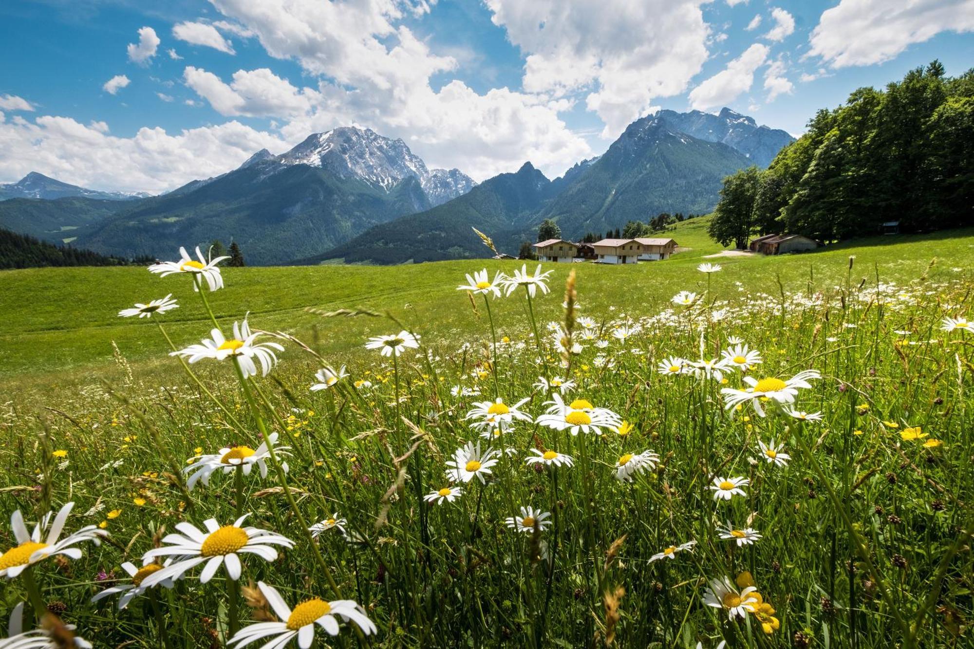 Ettlerlehen Chalets Ramsau bei Berchtesgaden Exterior photo